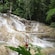 A cascade of waters fall over smooth terraced rock and forest